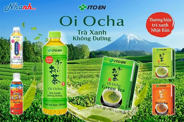 Trà Xanh Không Đường Oi Ocha Ito En – Hương Vị Nhật Bản Chính Thống Cho Doanh Nghiệp